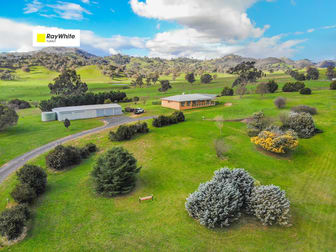 278 Brungle Road Tumut NSW 2720 - Image 1