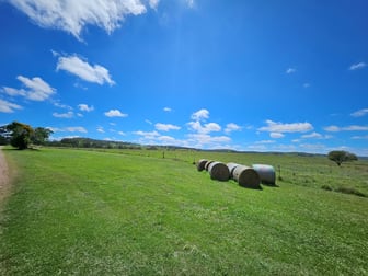 693- LOT108 Haden Crows Nest Road Plainby QLD 4355 - Image 3