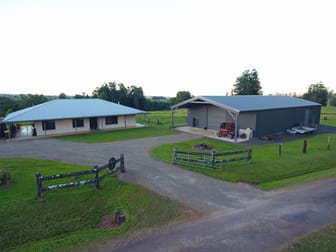 210 Pheasant Rd Millaa Millaa QLD 4886 - Image 3