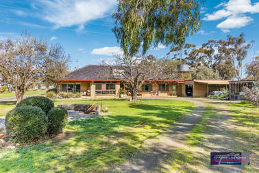 699 Tandarra-Serpentine Road Tandarra VIC 3571 - Image 1