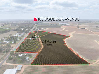 183 Boobook Avenue Red Cliffs VIC 3496 - Image 2