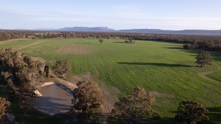 171 Crutes North Road Dadswells Bridge VIC 3385 - Image 3