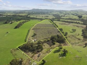 699 Ankers Road Strathbogie VIC 3666 - Image 1