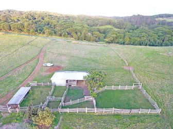 0 Boar Pocket Rd Danbulla QLD 4872 - Image 2