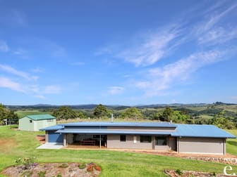 41 Ford Road Tarzali QLD 4885 - Image 3