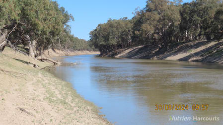 * SALTBUSH, 2389 Curranyalpa Road Tilpa NSW 2840 - Image 1