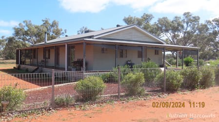 * Needlewood Nymagee NSW 2831 - Image 2