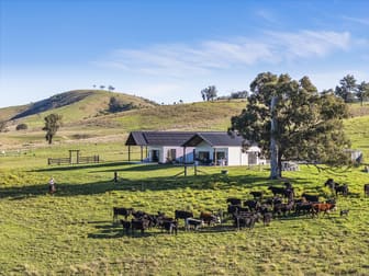 537 Glen William Road Glen William NSW 2321 - Image 2
