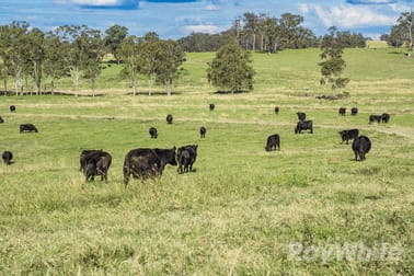 Click to view all images 4469 Clarence Town Road Dungog NSW 2420 - Image 3