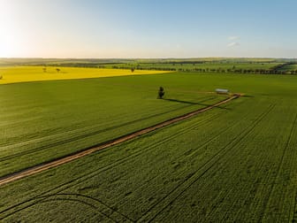 'Green Hills' 146 Seventeen Mile Mail Road Marrar NSW 2652 - Image 3