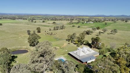 351 Jenners Lane Tamworth NSW 2340 - Image 1