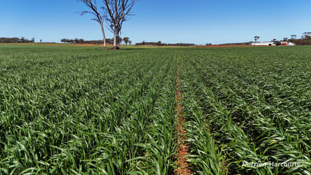 5670 Soldiers Road West Holleton WA 6369 - Image 1