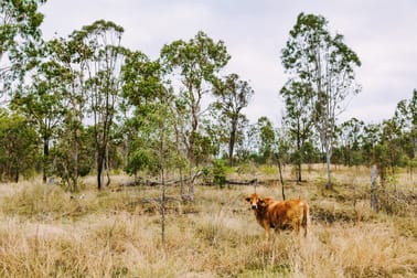 1250 Mount Hector Road Boyne Valley QLD 4680 - Image 3