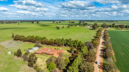 'Clearview'/185 Coreen School Rd Coreen NSW 2646 - Image 1