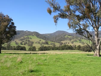 "Oakleigh" Nundle Creek Road Nundle NSW 2340 - Image 1