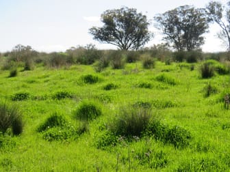 "Oakleigh" Nundle Creek Road Nundle NSW 2340 - Image 3