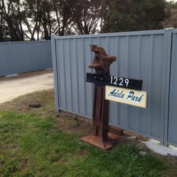 1229 Coast Road Lady Barron TAS 7255 - Image 1