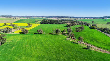 'Belvedere' 565 Gollan Road Goolma NSW 2852 - Image 2