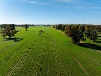 'Greenbank' 2 Mines Road Young NSW 2594 - Image 2