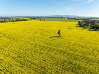 'Greenbank' 2 Mines Road Young NSW 2594 - Image 3