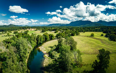 1531 Waterfall Way Bellingen NSW 2454 - Image 2