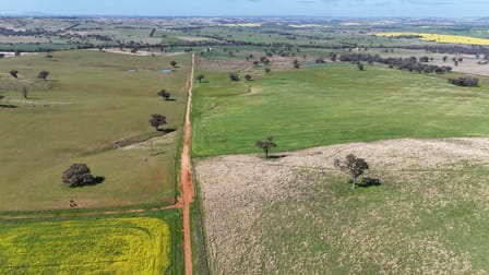 Charlie's Block, Islands Road Cowra NSW 2794 - Image 1