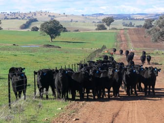 Charlie's Block, Islands Road Cowra NSW 2794 - Image 2