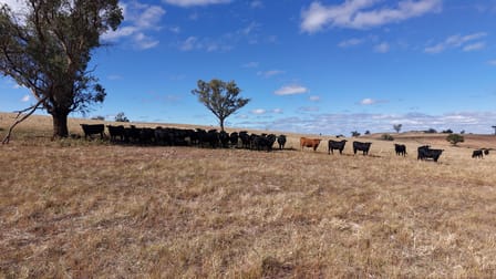 Charlie's Block, Islands Road Cowra NSW 2794 - Image 3