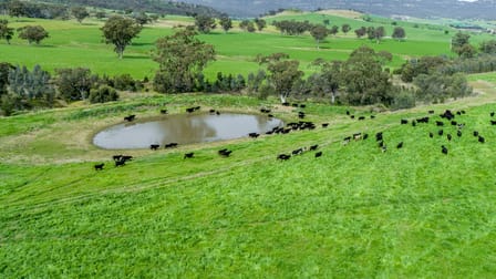 'Peberdy' 511-513 Dalswinton Rd Denman NSW 2328 - Image 1