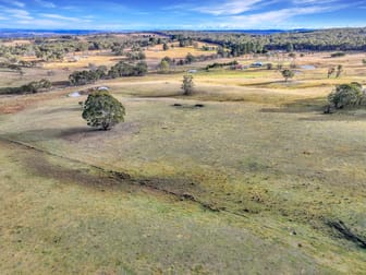 Lot 337 Bucky Springs Road Bombala NSW 2632 - Image 3