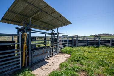 5016 New England Highway Guyra NSW 2365 - Image 3