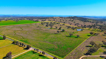 723 Borah Creek Road Quirindi NSW 2343 - Image 1