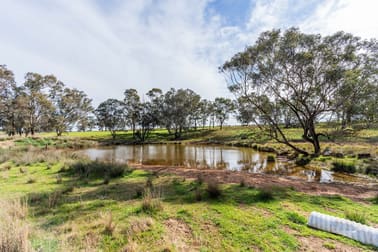 384 Yellowbox Road Manildra NSW 2865 - Image 2