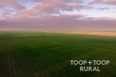 735 Koch Road (via Loxton) Taldra SA 5311 - Image 3