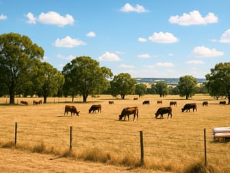 Rural & Farming  business for sale in Emerald Region QLD - Image 2