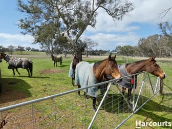 1790 Harrow-Balmoral Road Balmoral VIC 3407 - Image 3