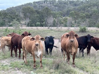 Monto QLD 4630 - Image 2