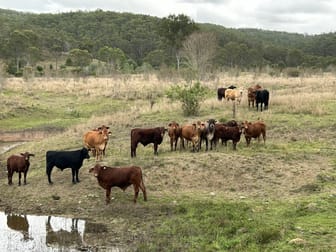 Monto QLD 4630 - Image 1