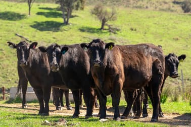 401 & 407 Dry Creek Road Orange NSW 2800 - Image 1