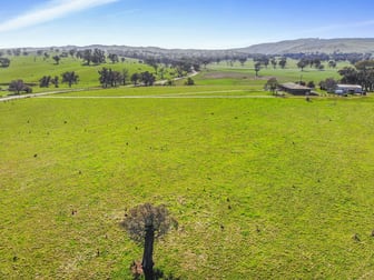 1538 Wee Jasper Road Tumut NSW 2720 - Image 2