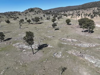 203 Woodside Road Tenterfield NSW 2372 - Image 2