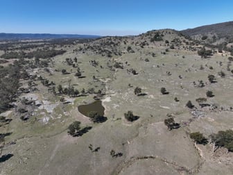 203 Woodside Road Tenterfield NSW 2372 - Image 3