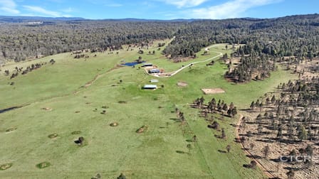 1458 Bendoc-Orbost Road Bendoc VIC 3888 - Image 2
