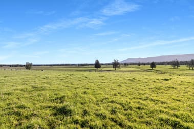 591 Coolangatta Road Berry NSW 2535 - Image 2
