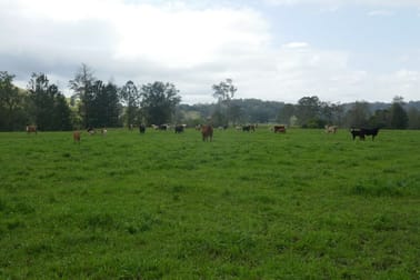 590 Rock Valley Rd Lismore NSW 2480 - Image 2