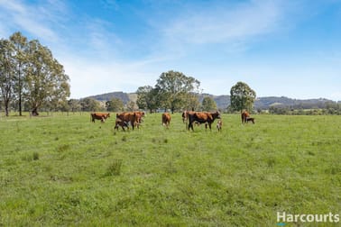 429 Glen Martin Road Glen Martin NSW 2321 - Image 3