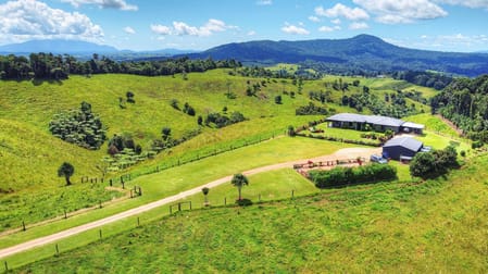1288 Beatrice Way Millaa Millaa QLD 4886 - Image 1