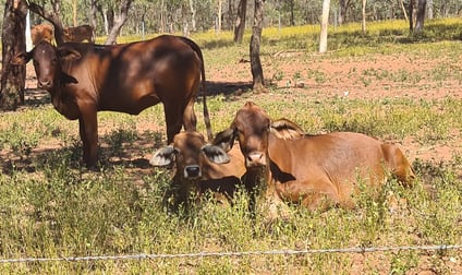 Click to view all images Cape Leveque Road Broome WA 6725 - Image 2