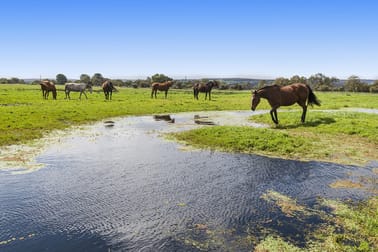 24 Gaston Road Bullsbrook WA 6084 - Image 1