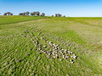 Bumbaldry Road Greenethorpe NSW 2809 - Image 2